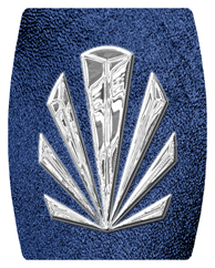 DAREC 602 SL SH BL Silver Sunburst Shimmer Blue Background